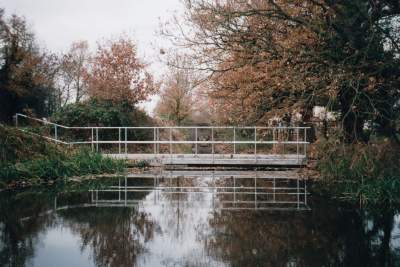 pic1
